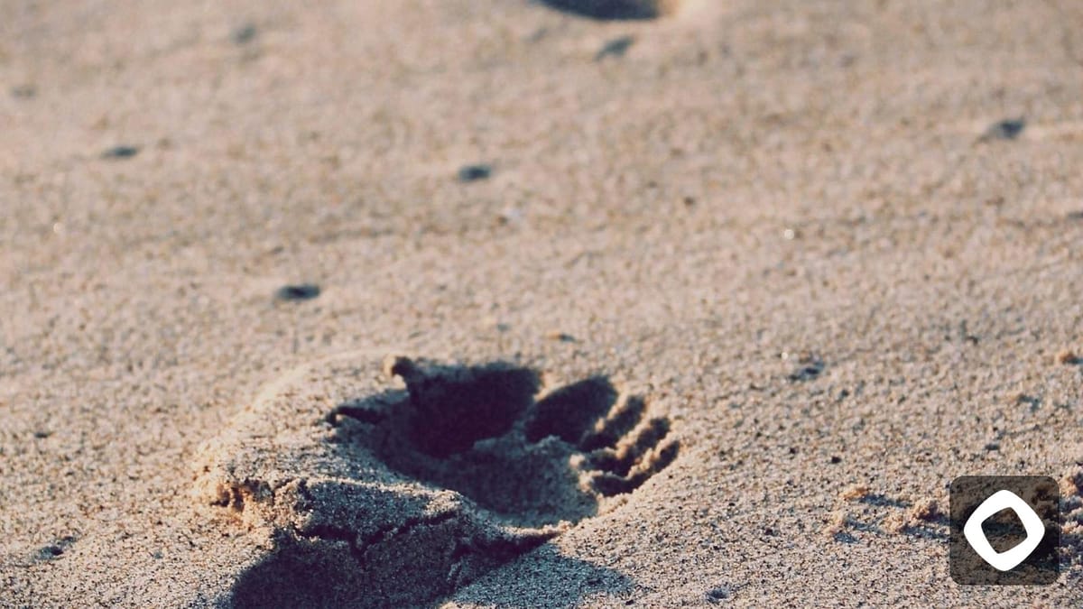 Monad: 9 Concepts Explained (Builder-First) — Natsai